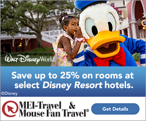 WDW Special Room Offer