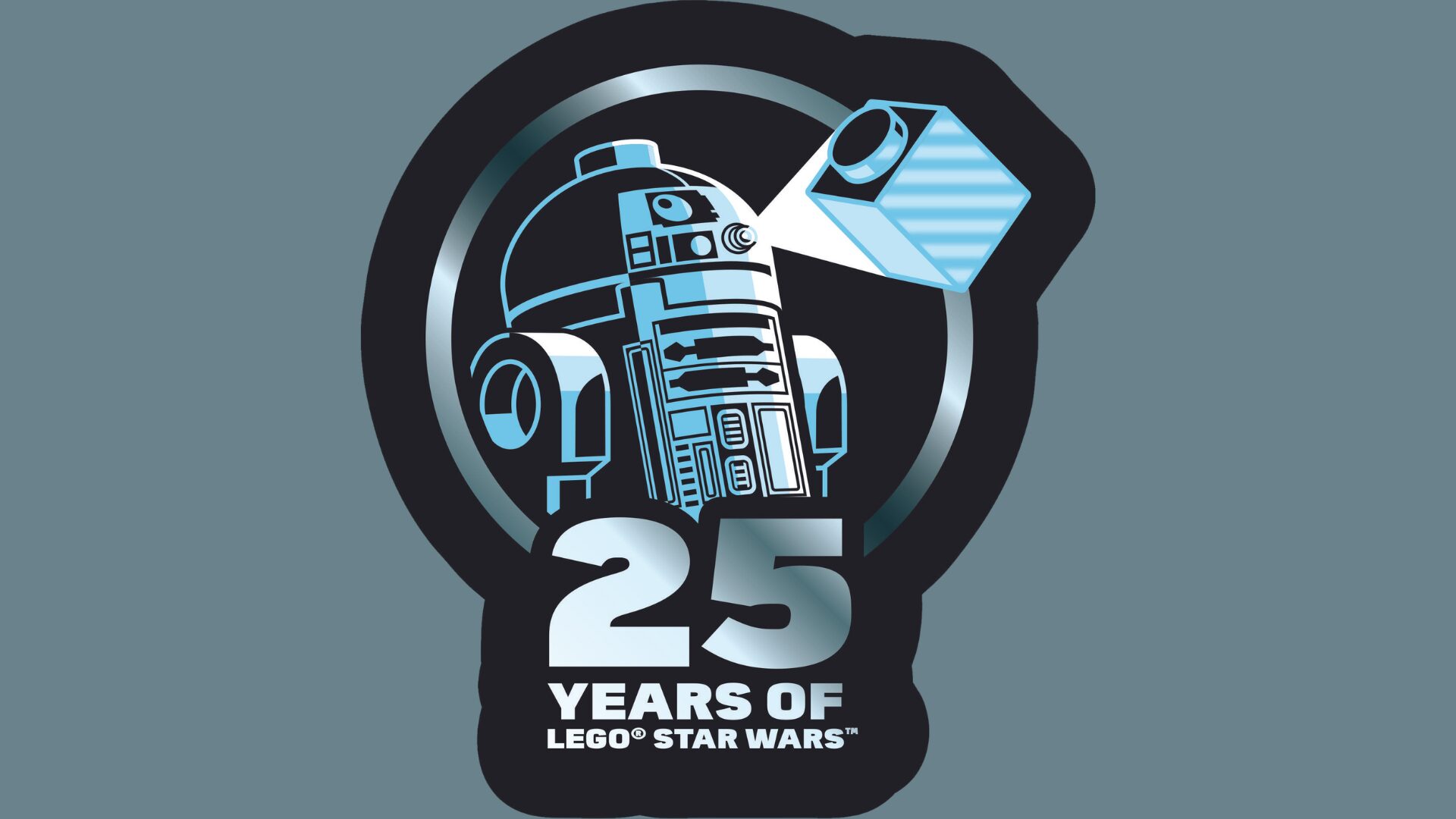 LEGO Star Wars Visual Dictionary Updated Edition Coming in 2024 - The Brick  Fan