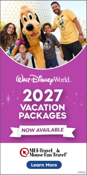 WDW 2027 Travel Packages Available